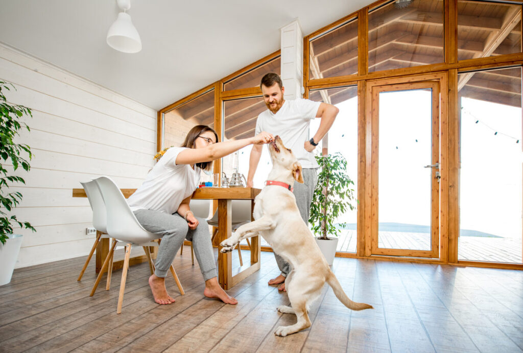 Living in Alexander Mill: A Neighbor’s Guide to Greeneville’s Welcoming Community